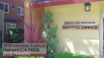 Rancho Luna-Rancho Sol Apartments in Fremont, CA - ForRent.com