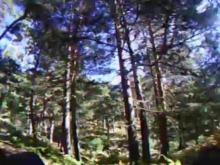 Bajando desde cotos-2