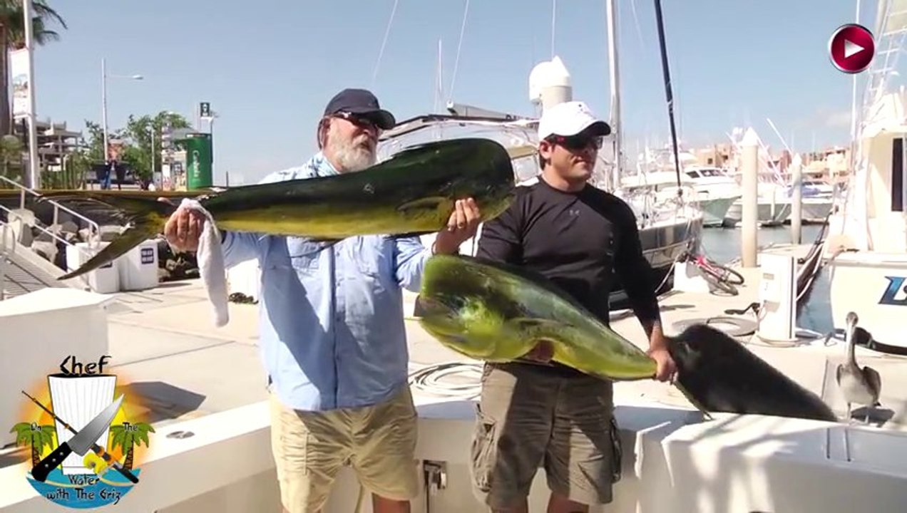 Sea Lion Steals Giant Fish From Fisherman’s Hands
