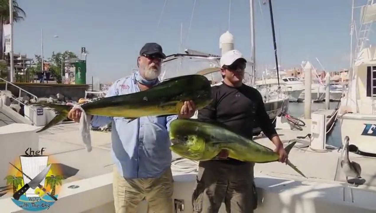 Une otarie vole un poisson des mains du pécheur...pendant sa séance photo. ENORME.