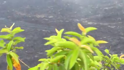 Sierra Negra Volcano - Galapagos Videos