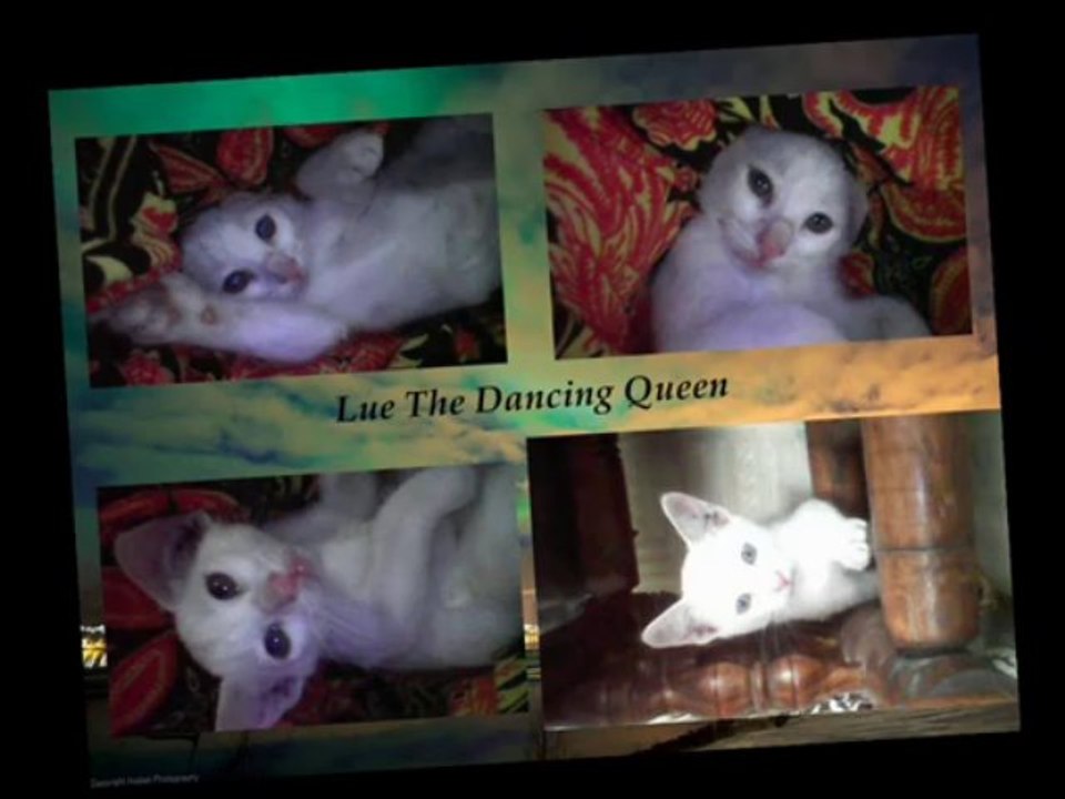 lue my dancing queen
