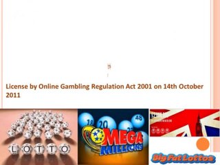 Reasons To Play Big Fat Lottos Lottery Game