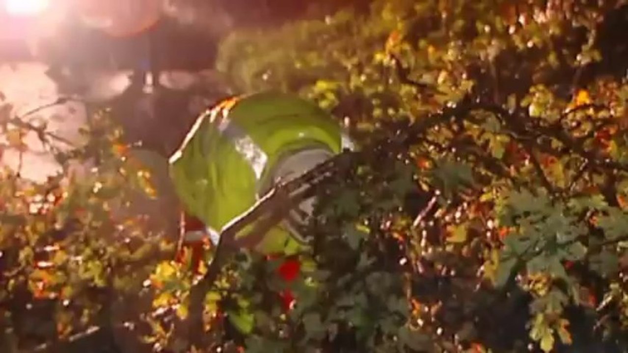 Trees brought down by storm block roads and rails