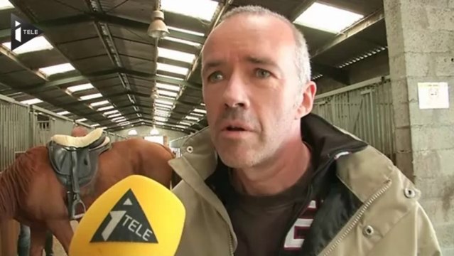 Hausse de la TVA pour les centres équestres