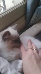 India: A Land of Diversity and Culture