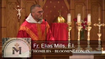 Oct 28 - Homily: Sts Simon and Jude, Sent to Preach