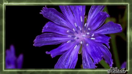 Seal - Its A ManIts A Mans World