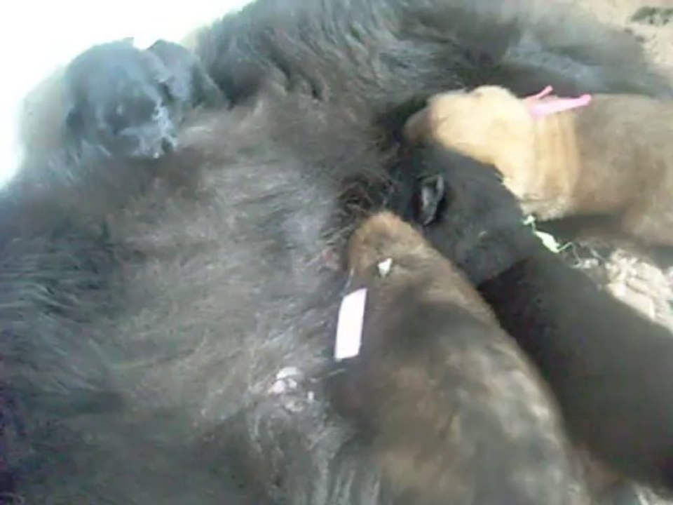 28 octobre 2013 : 3 semaines