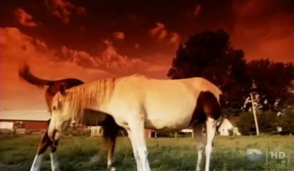 Vies paralleles E03 Mystere a la ferme