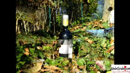 Der Herbst ist da