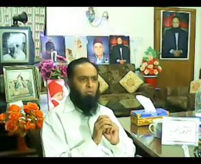 Save US from Bees & Mosquitoes 30 April 2012