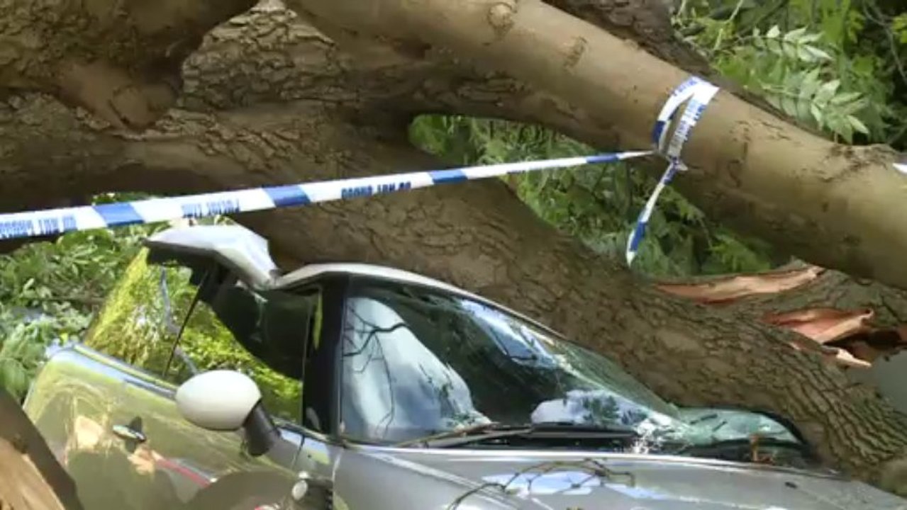 Tote durch orkantief "christian"