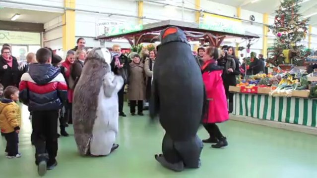 valse des manchots teaser