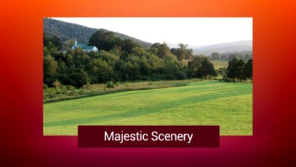 David Wallader Projects- IFO Australia