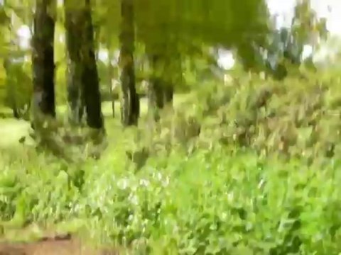 Deuxième pélerinage : du Puy en Velay à Santiago - 9 ème étape : de Livinhac-Le-Haut à Beduer.