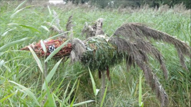 Art dehors et Environnement