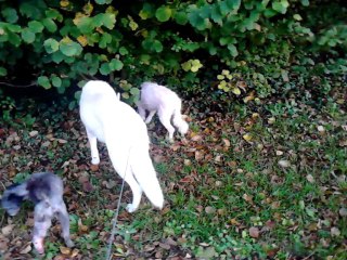 1ère balade de Marcy !