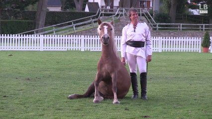 Danse avec les chevaux