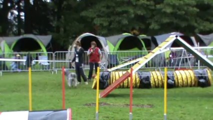 Athénais 1er degré 2013 10 06