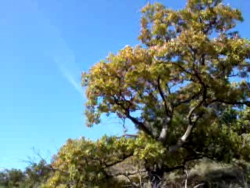 Déco D'Hervé MontChaud (Près de CREST 26)