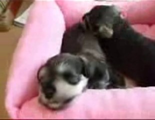 정통카지노 BEST 779 . COM