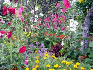 ISAIAS  CAP 59  - A BIBLIA NA LINGUAGEM DE HOJE