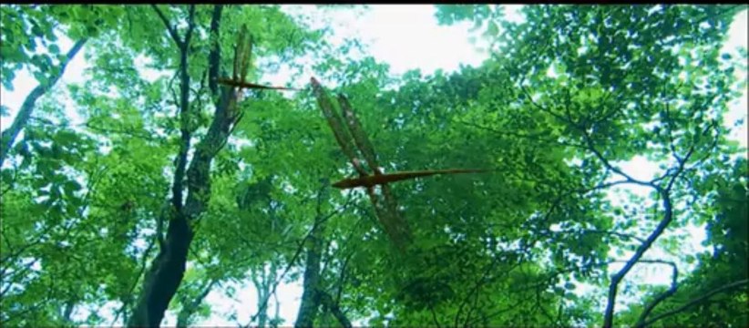 ai otsuka-momo no hanibara