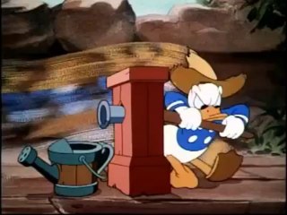 Donald Duck - Donald's Garden