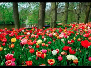 ISAIAS  CAP 65  - A BIBLIA NA LINGUAGEM DE HOJE