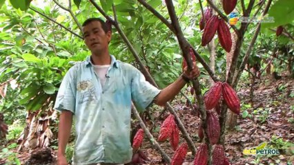 VIDEO TESTIMONIAL PROYECTOS PRODUCTIVOS FUNDESMAG ECOPETROL 2013