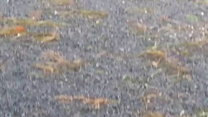 Harbor Bashed by Hurricane Winds