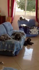 Gargas octobre 2013 le repos