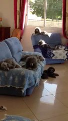 Gargas octobre 2013 le repos