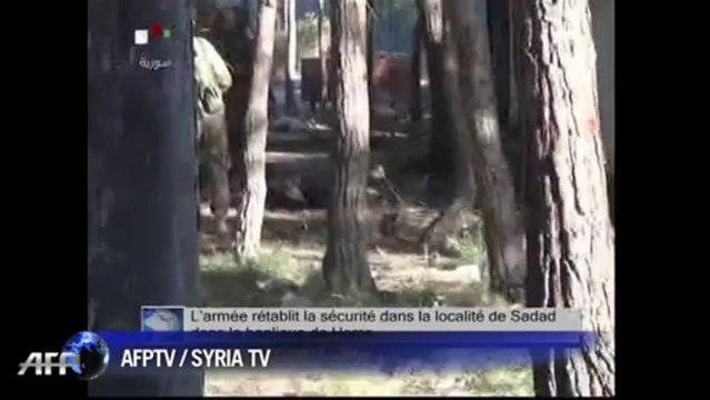 Syrian Army takes the Christian village of Sadad near Homs