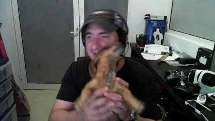 Apoyemos a TownGameplay en KOTW y LiveStreams de hoy!!