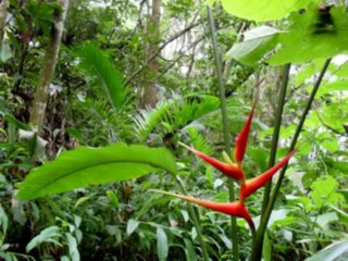 JEREMIAS  CAP 29  - A BIBLIA NA LINGUAGEM DE HOJE