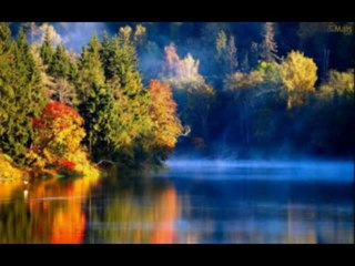 JEREMIAS  CAP 41  - A BIBLIA NA LINGUAGEM DE HOJE