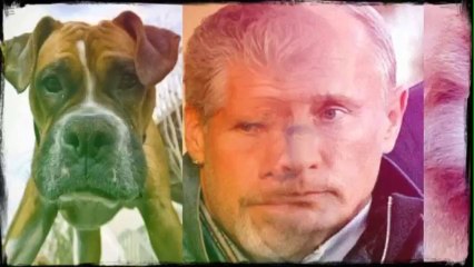 Random images that make no sense