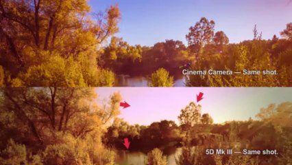 Comparing the Black Magic Cinema Camera & 5d mk iii 1920x1080