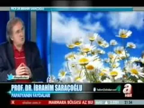 Papatyanın Faydaları-İbrahim Saraçoğlu Sinüzit Tedavisi Sinüzite Bitkisel  Çözüm Kürü - Dailymotion Video