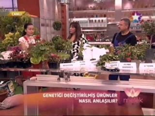 Bitki ve Çiçek Bakımı - Doğal Yaşam Uzmanı Zeynep Çelen