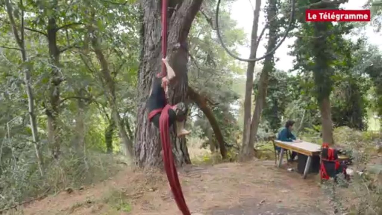 Plourivo (22). Des acrobates dans les arbres à la Maison de l'estuaire