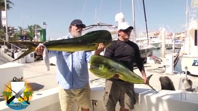 Sea Lion stealing Monster fish