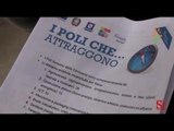 Napoli - Poli formativi, Campania prima in Italia (28.10.13)
