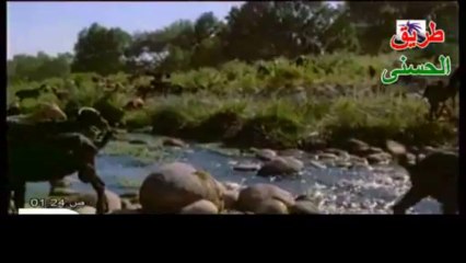 حيوان الرباح أو الزريقاء~ هذا خلق الله.