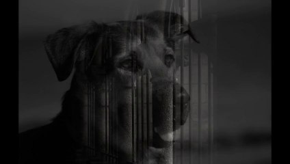 Photographie Noir & blanc