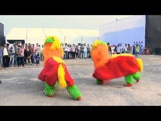 Lion dance of Sikkim, by cultural group Brahmaputra