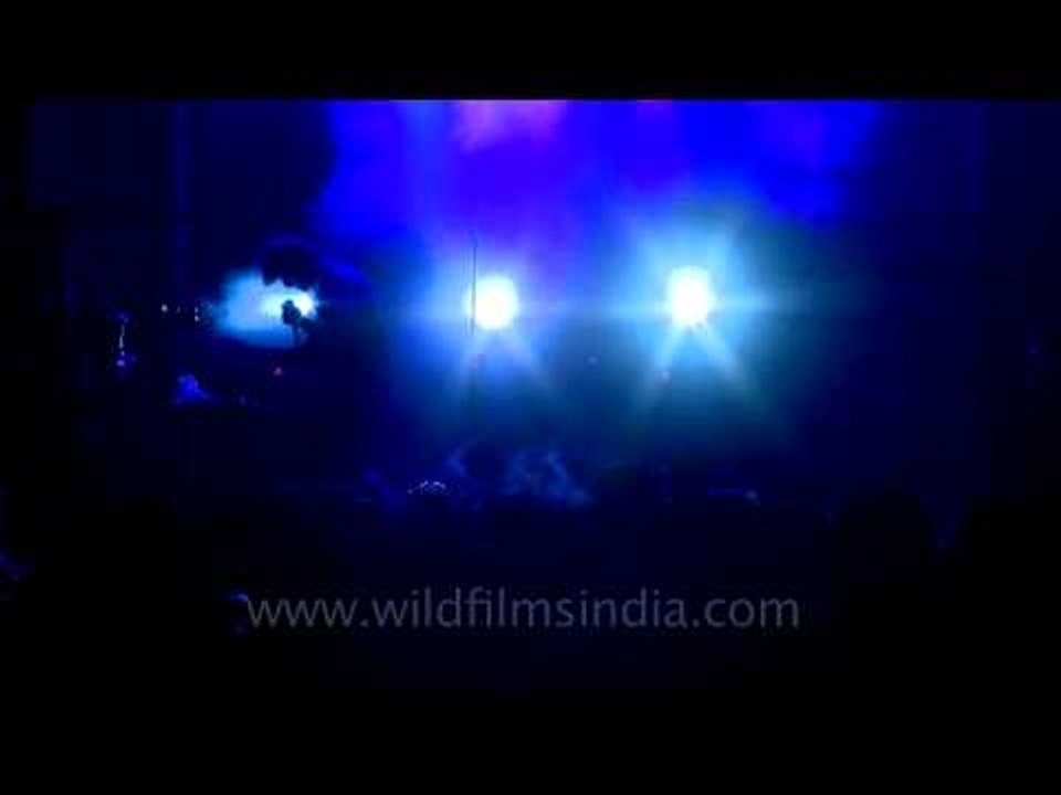 Peter Cat Recording Co. : Live at Ziro Music Fest