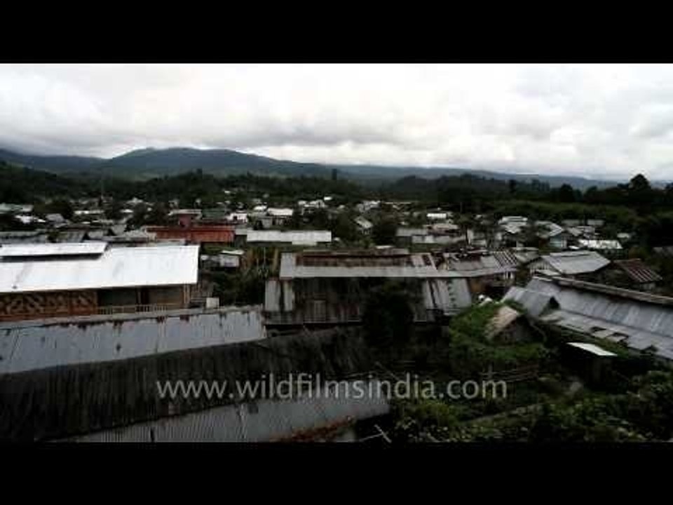 Bamboo grove right next to the village: In Ziro...